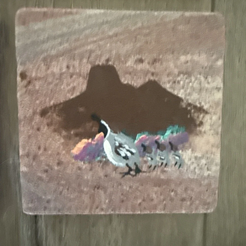 Set‎ of 4 Sandstone Southwest/Desert Hand Painted Coasters with Cork Backing
